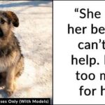 Homeless Owner Leaves Desperate Note In Abandoned Dog’s Collar Prompting Shelter To Reunite & Help Them Both