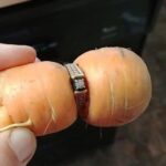 Woman Lost Her Engagement Ring While Gardening Finds It 15 Years Later Around Carrot