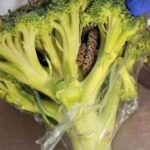 “Shocking Encounter, Man’s Horrifying Discovery Inside Bag Of Aldi-bought Broccoli” Blog Kelly Thomas · March 23, 2024 · 0 Comment