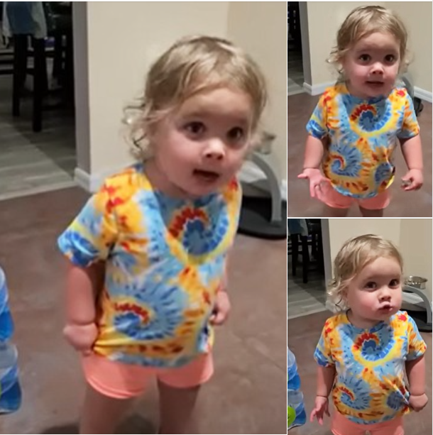 Mom Confronts Toddler About Touching The Dog Food Not Expecting Her To Quip Back Sidesplitting Defense