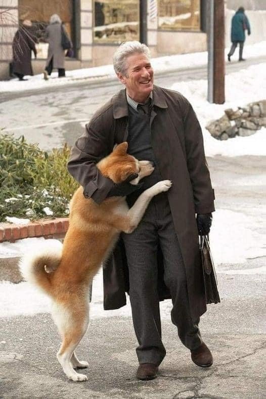 Rare Photos Of Hachiko Patiently Waiting For His Owner Have Surfaced And It’s Heartbreaking To See