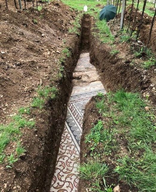 Ancient Roman Mosaic Floor Discovered Beneath an Italian Vineyard.