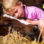 Every Night, The Horse Slept With The Boy. 3 Years Later, Mum Realized she Made a Terrible Mistake