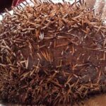 Man Screamed When He Found This Ball In The Kitchen, Looking Close He Saw Something Weird