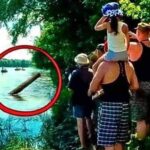 They Thought They Found Just A Log, But When They Pulled It Out, They Screamed