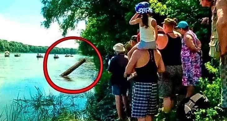 They Thought They Found Just A Log, But When They Pulled It Out, They Screamed