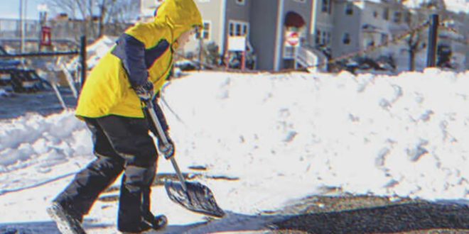 Teen Boy Cleans Old Woman’s Yard All Day, after Which All the Neighbors Gather near Her House – Story of the Day