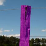 If You See A Purple Fence Post, Turn Around And Stay Away