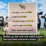 Take a Seat, This Viral Cow Math Puzzle Will Take Your Brain for a