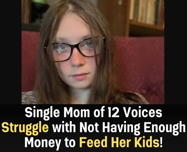 Single Mom of 12 Voices Struggle with Limited Finances to Feed Her Kids!