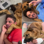 Wife Jokes She’s The ‘Spare Human’ When It Comes To Rescue Pup’s Bond With Her Husband