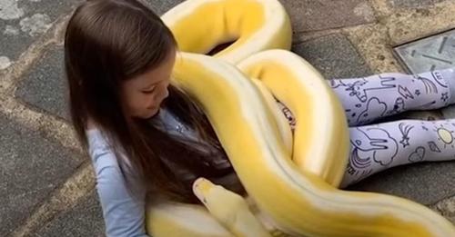 Dad Says His Little Girl Is Fortunate To Have Close Relationship With 16-Foot Python