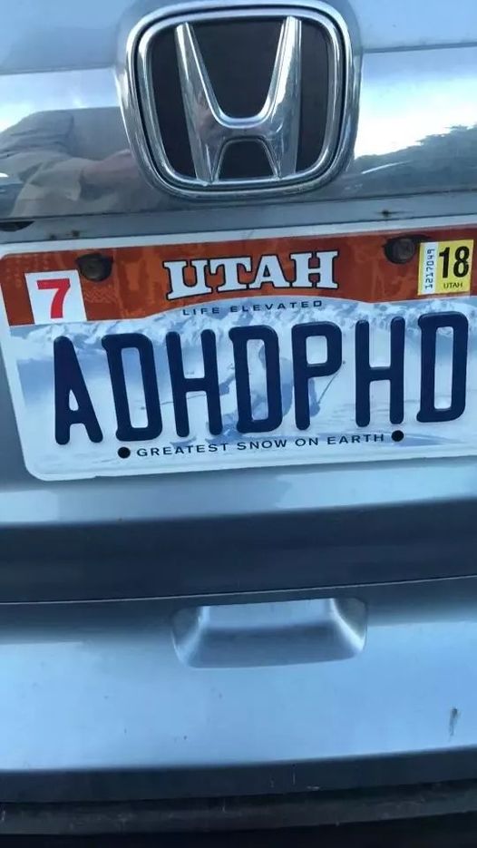 A Clever License Plate Captures the Internet’s Imagination