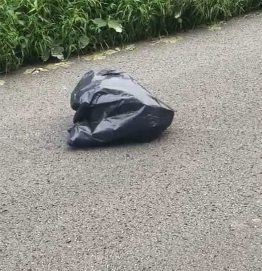 Woman Swerves To Miss Trash Bag In Road, Looks Closer And Gets The Chills