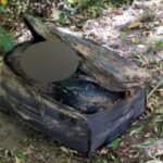 This woman came across an old, filthy luggage in a bush