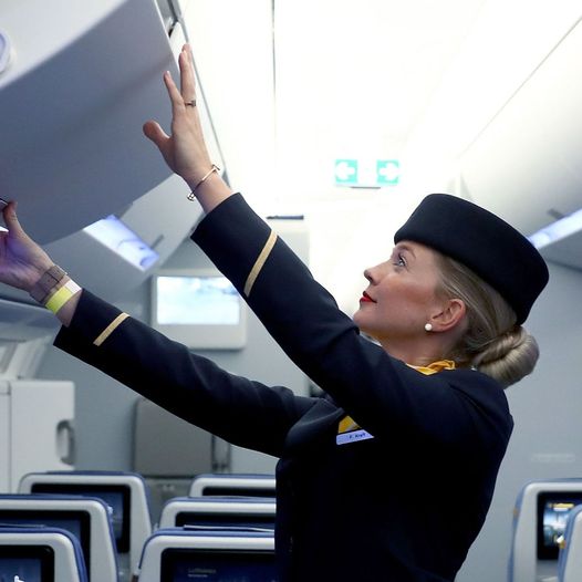 Flight Attendant Delivers Perfect Comeback to Haughty Passenger