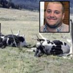 Farmer And 16 Cows Found Dead, Cause Of Death Finally Discovered