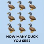 How many ducks are in the picture? The viral challenge sweeping the internet, explained