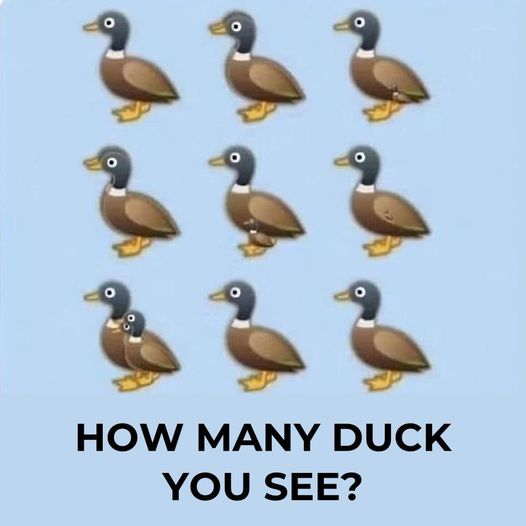 How many ducks are in the picture? The viral challenge sweeping the internet, explained