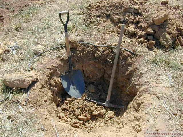 He Dug A Hole In His Yard And All The Neighbors Were Jealous