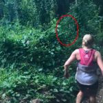 Woman snaps photo running through rainforest – later spots haunting detail in the bushes