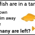 Can You Solve This Fish Math Riddle In Less Than 1 Minute?