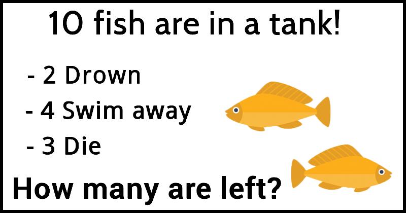 Can You Solve This Fish Math Riddle In Less Than 1 Minute?