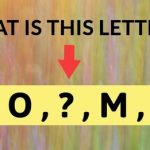 We Can Guess Your Level Of Education Based On How Well You Know These 26 Letters