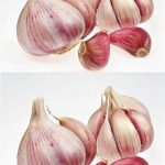 11 Secrets You Don’t Know About Garlic