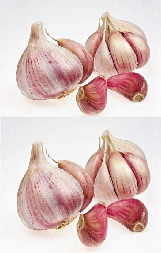 11 Secrets You Don’t Know About Garlic