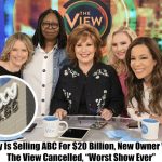 Breaking: Disney Is Selling ABC For $20 Billion, New Owner Wants The View Cancelled