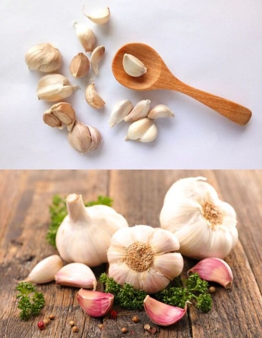 Discover the Surprising Health Benefits of Garlic