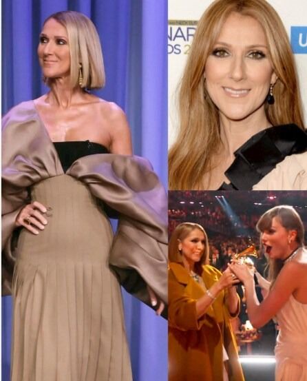 Céline Dion Makes a Remarkable Comeback at the Grammy Awards