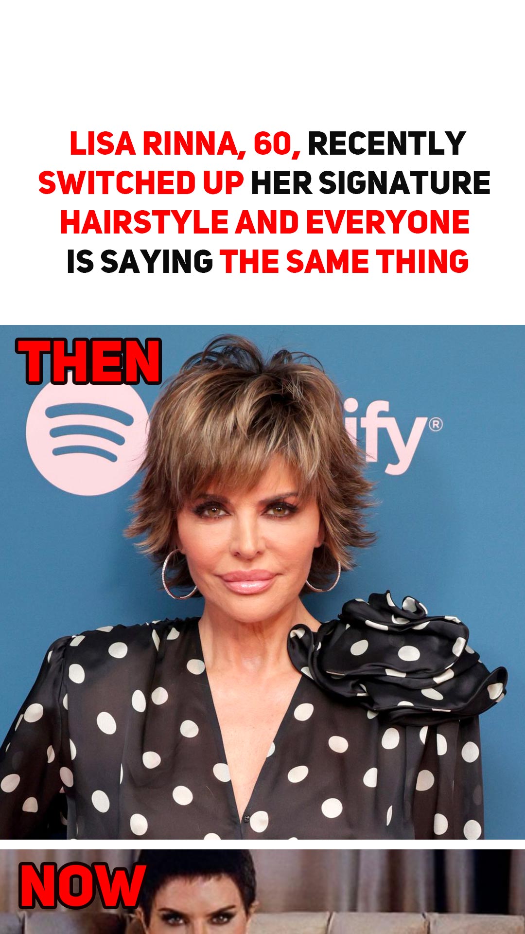 Lisa Rinna, 60, recently switched up her signature hairstyle and everyone is saying the same thing