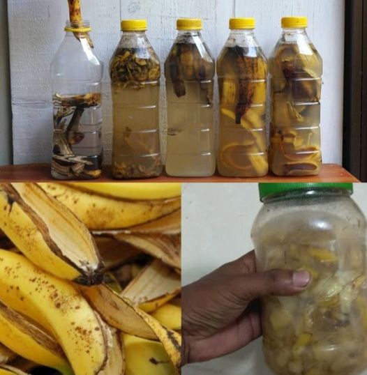 Discover the Hidden Uses of Banana Peels