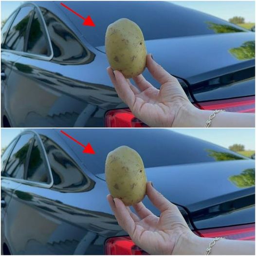 The Humble Potato: Your Car’s Secret Weapon