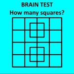 How Many Squares do you See?