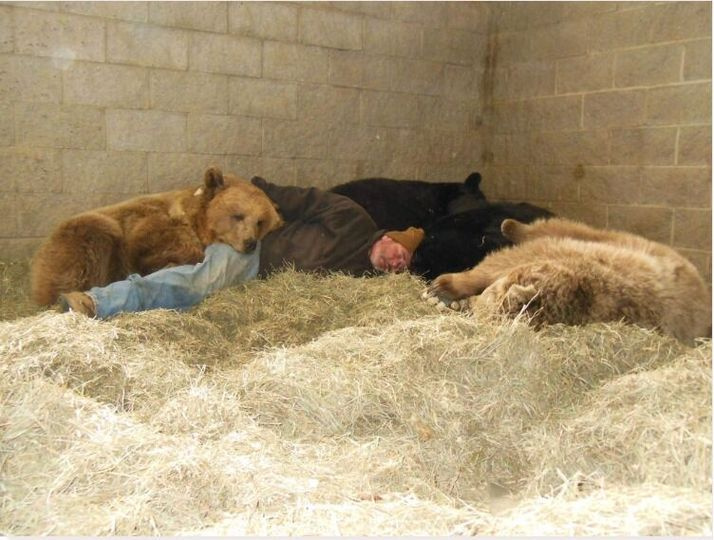 Caregiver Cuddles Up With Four Orphaned Bears To Help Them Fall Asleep