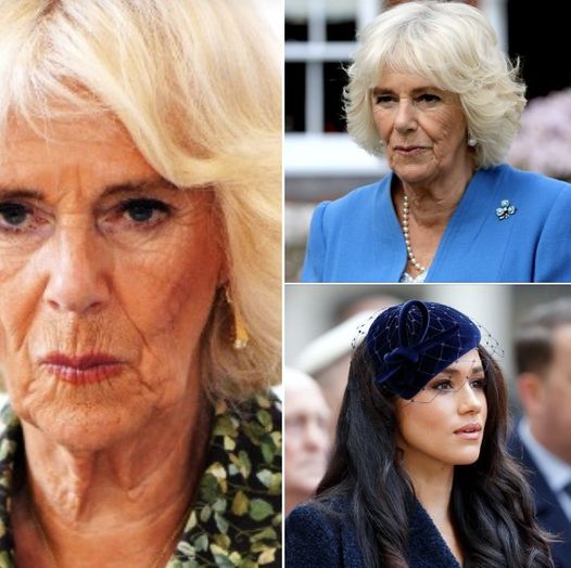 Queen Camilla has gotten her “perfect” revenge on Meghan Markle, royal expert claims