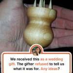 20 Bewildering Objects That Left Folks Wondering about Their Uses