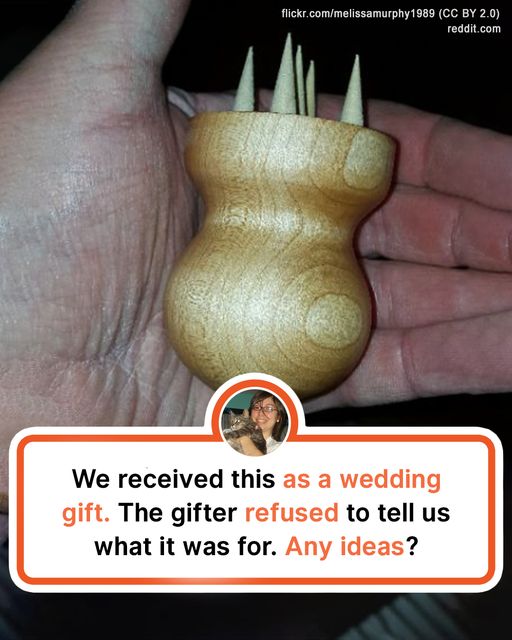 20 Bewildering Objects That Left Folks Wondering about Their Uses