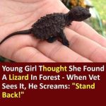 A Young Girl Thought She Found A Lizard- When Vet Sees It, He Couldn’t Believe His Eyes