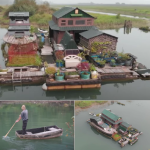 Man Builds Completely Self-Sustaining Island Homestead With Salvaged Materials