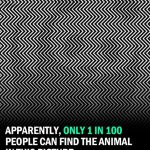 Studies Say Only 1% Of People Can Find The Animal In This Picture. Can You?