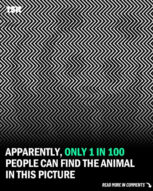 Studies Say Only 1% Of People Can Find The Animal In This Picture. Can You?