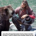 Remembering Dan Haggerty: The Gentle Mountain Man