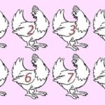 ARE YOU A GENIUS? NOBODY CAN DETERMINE WHICH CHICKEN IS DIFFERENT.