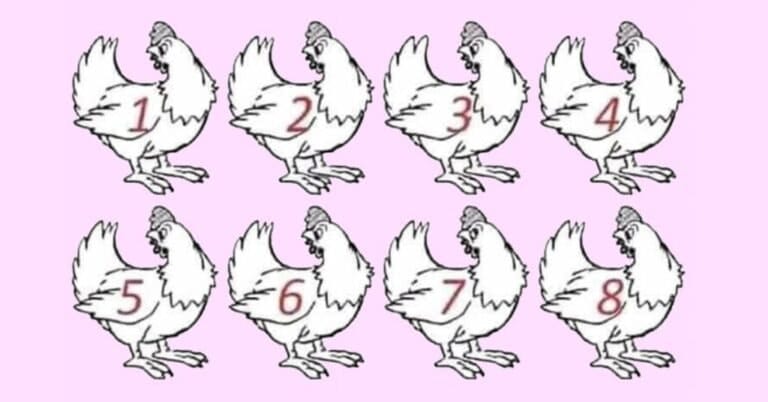 ARE YOU A GENIUS? NOBODY CAN DETERMINE WHICH CHICKEN IS DIFFERENT.