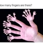 How Many Fingers Can You See in This Optical Illusion?