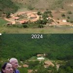 Reviving Life from Desolation to Prosperity: The Extraordinary Journey of a Brazilian Couple’s Reforestation Mission